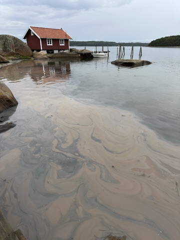 Bilde vedlagt spørsmålet