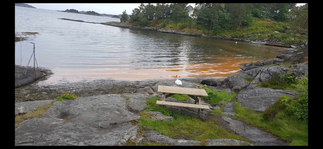 Bilde vedlagt spørsmålet