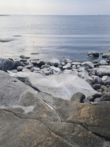 Bilde vedlagt spørsmålet